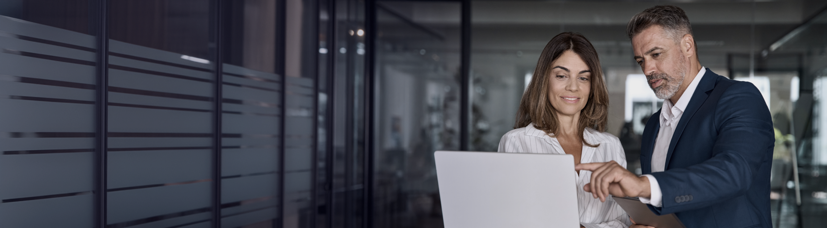 Mestrado Profissional