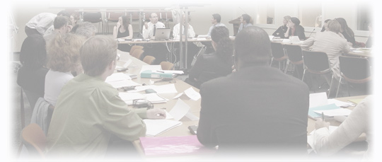CVM / Ernst & Young / FIPECAFI